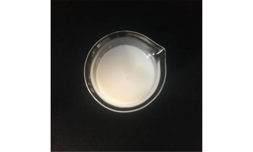 水性環(huán)氧丙烯酸乳液 (5)