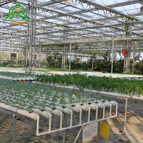 智能溫室 智能溫室生產廠家