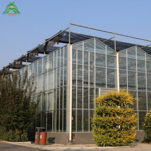 玻璃智能溫室 玻璃智能溫室造價 智能溫室物聯網系統