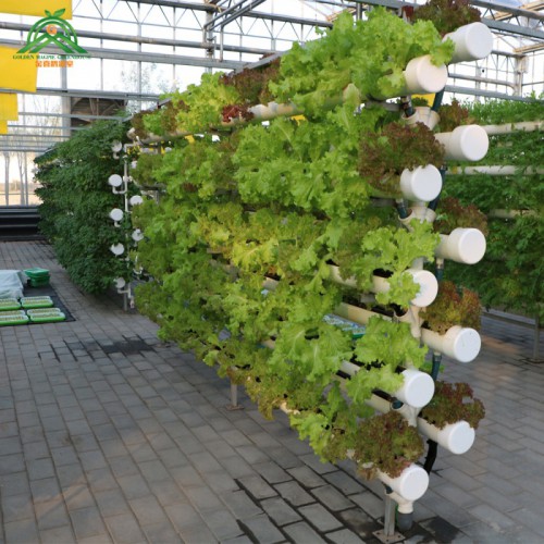 河北滄州智能溫室  現代化智能溫室