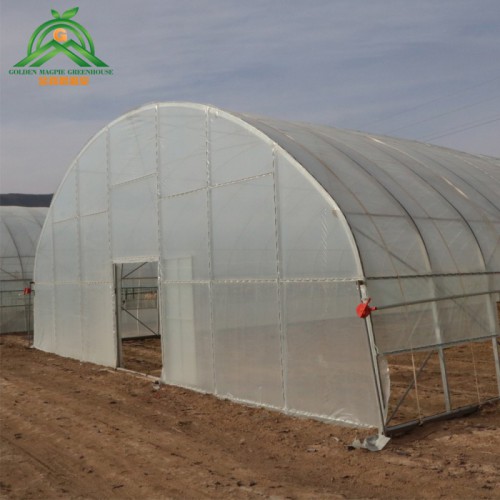 蔬菜大棚   蔬菜大棚骨架生產廠家