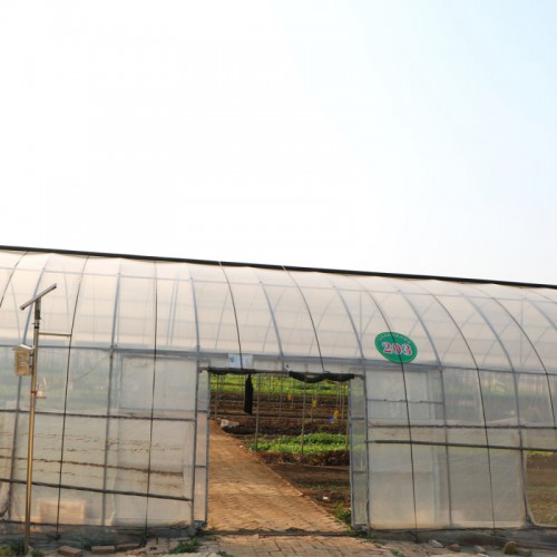 薄膜連棟溫室生產廠家 薄膜連棟溫室建設施工 薄膜連棟溫室設計