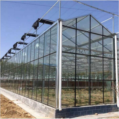 稱心的玻璃溫室大棚工程 玻璃溫室設計及預算