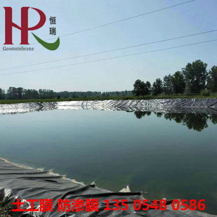 礦渣池防滲膜 糙面土工膜 莘縣防滲膜