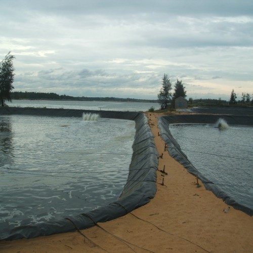 高密度聚乙烯土工膜 HDPE防滲膜HDPE土工膜