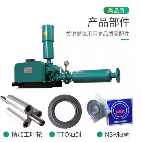 熔噴布羅茨風(fēng)機(jī)