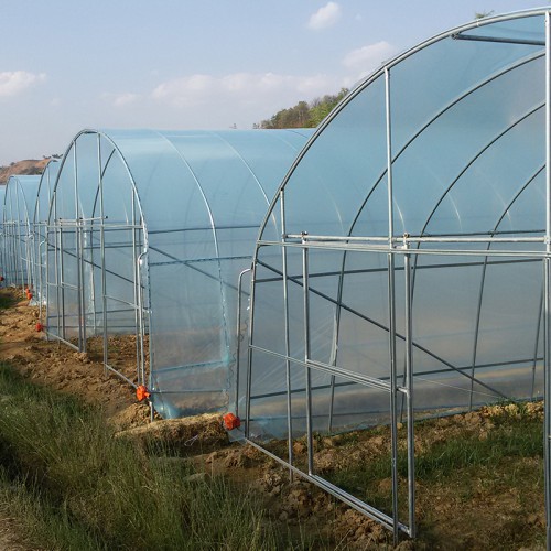 新式冷棚 不用徹墻的溫室大棚 現代化暖棚蔬菜大棚造價
