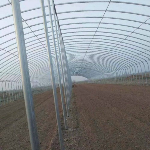 大棚養豬豬舍 養殖棚溫棚搭建 兔子養殖大棚設計