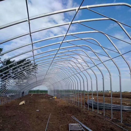 土墻日光溫室大棚造價 簡易養(yǎng)雞大棚建造 500平方養(yǎng)殖大棚