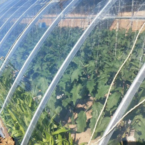 PO膜大棚膜 大棚膜一斤價格 大棚無滴膜 大棚專用膜