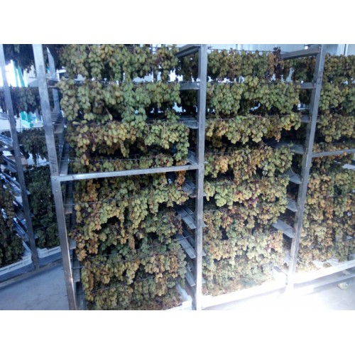 環(huán)保節(jié)能葡萄烘干房_葡萄烘干設(shè)備_烘干機廠家