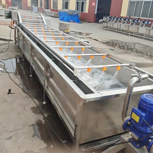義康制造 泡椒清洗機 草莓清洗流水線  果蔬清洗機