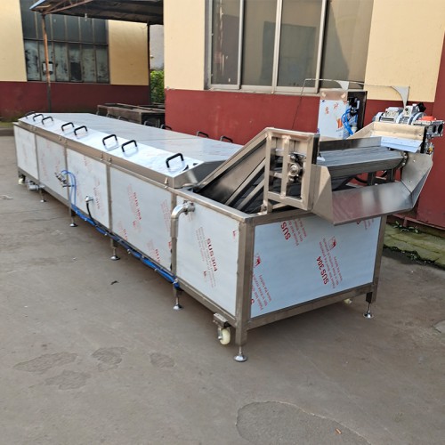 義康牌 海帶絲漂燙機(jī)  土豆片預(yù)煮機(jī)  梅菜殺青機(jī)