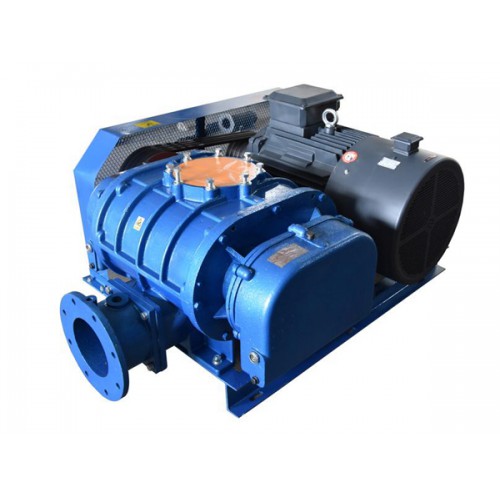 羅茨鼓風(fēng)機(jī) 羅茨風(fēng)機(jī)廠家 章丘羅茨風(fēng)機(jī) 羅茨高壓鼓風(fēng)機(jī)