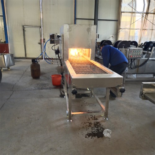 義康牌  天然氣燒毛機   豬肘子噴毛機  白條雞燒毛機