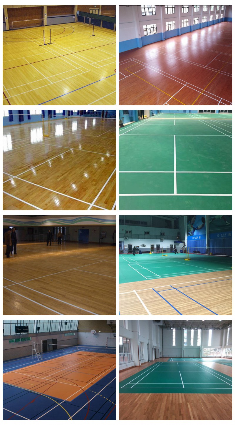 羽毛球場館 (2)
