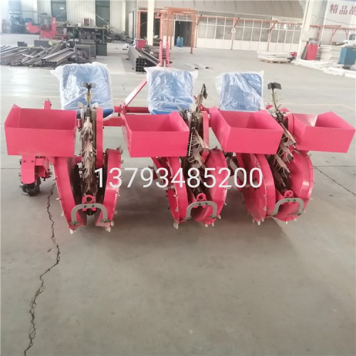 構(gòu)樹移栽機 蛋白桑移栽機 飼料桑移栽機 桑樹栽苗機