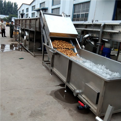 藥材噴淋清洗機  大姜清洗機  姜芽噴淋清洗設備