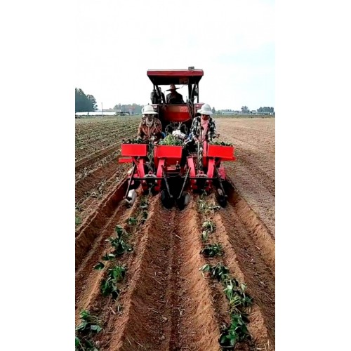 紅薯苗移栽機 兩行地瓜秧插苗機 斜栽平栽多功能起壟施肥栽苗機
