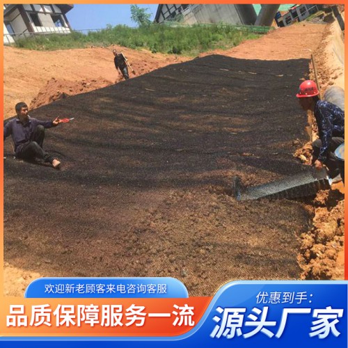 加筋固土網墊 三維加筋固土網墊 加筋麥克墊